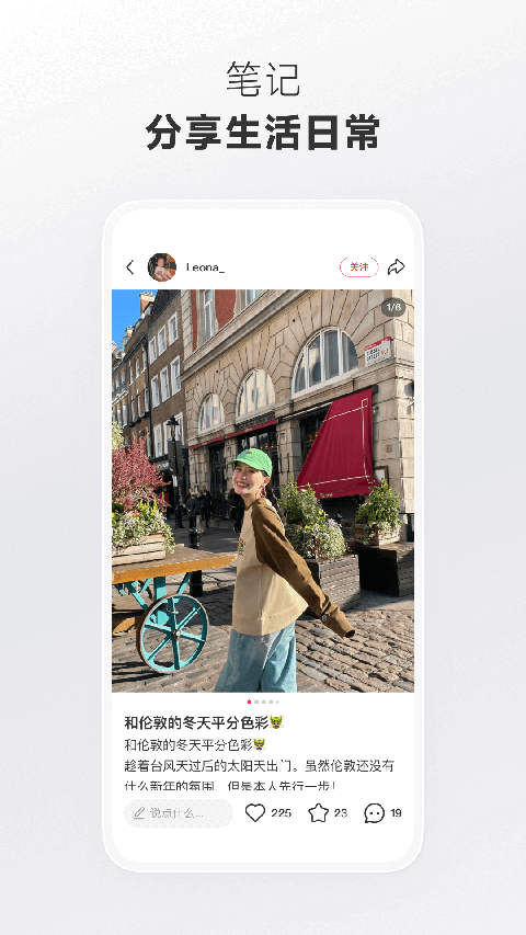 大象鼻卷极光荒漠绽花毯壁纸